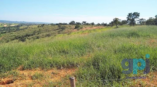 Fazenda em Área Rural  -  Martinho Campos