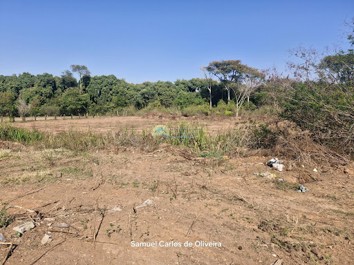 Terrenos à venda em Casa Branca SP