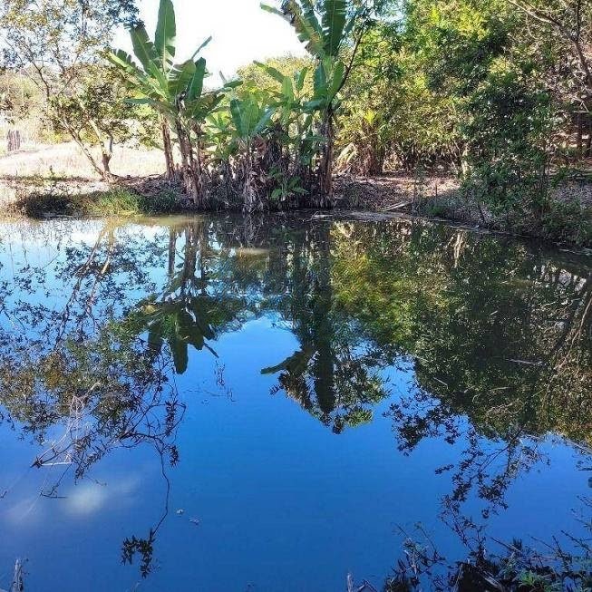 Rural à venda com 6000m² de terreno no Bonanza, Santa Luzia (MG) — foto 4 de 30