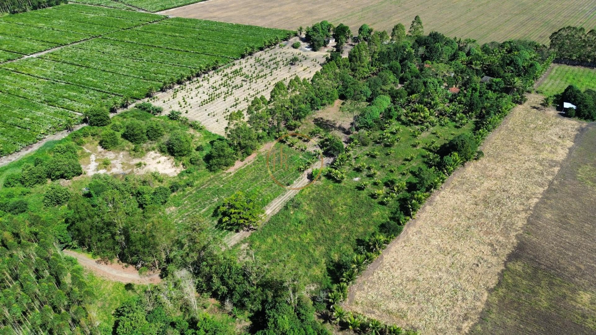 Rural à venda com 35000m² de terreno no Br367, Porto Seguro (BA) — foto 9 de 17