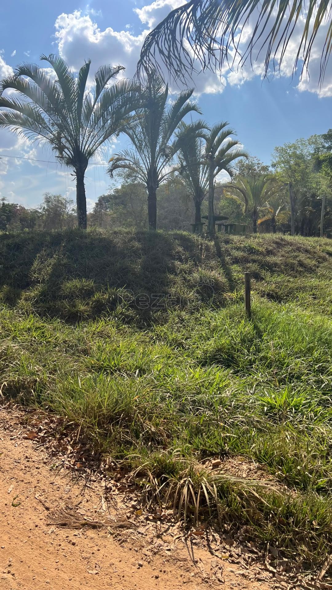 Fazenda, 1001 hectares - Foto 7