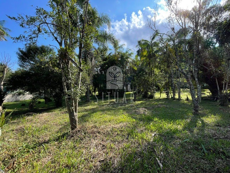 Foto 03