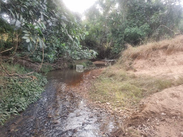 Fazenda em Zona Rural   -  Catalão