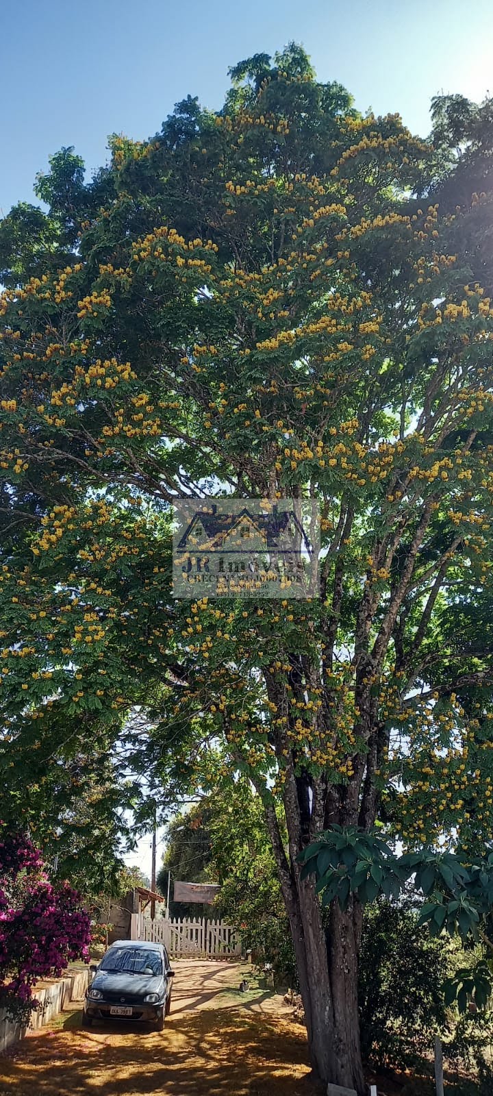 Terreno à venda no Carneiros, Piranguinho (MG) — foto 10 de 11