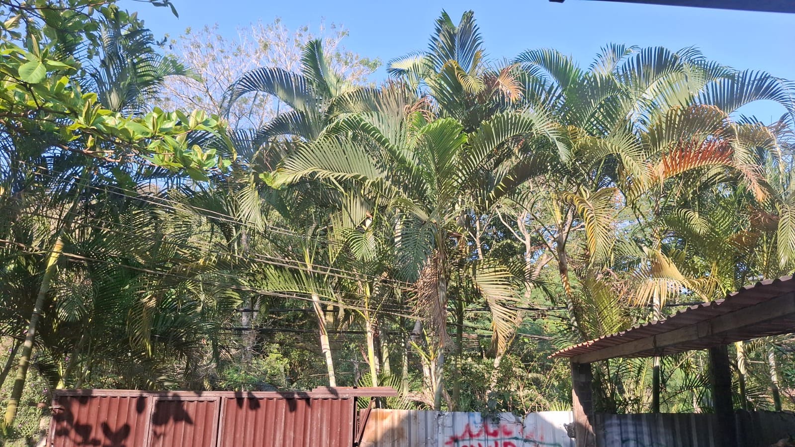 Casa à venda com 4 quartos, 1 suíte, 8 vagas e 300m² no Vargem Grande, Rio de Janeiro (RJ) — foto 13 de 30