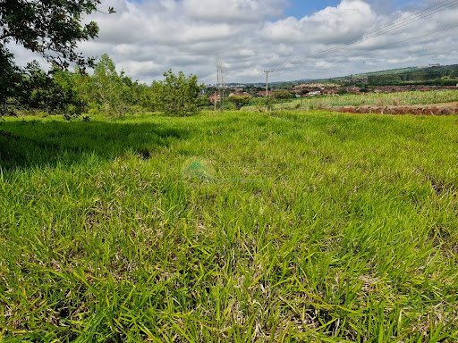 área para loteamento em Tambaú SP