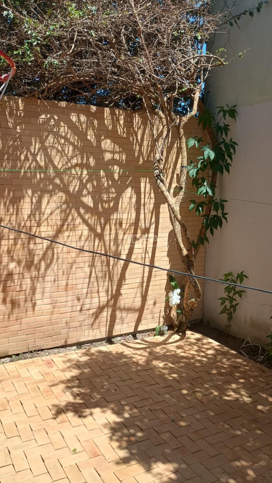 Casa à venda com 3 quartos, 1 suíte, 2 vagas e 140m² no Parque Juliao Nogueira, Campos dos Goytacazes (RJ) — foto 17 de 27