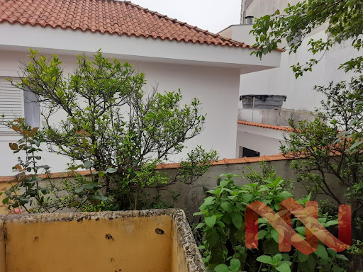 Casa em Vila Maria Alta  -  São Paulo