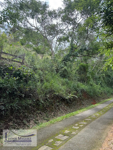 Terreno em Vale Das Videiras  -  Paty do Alferes