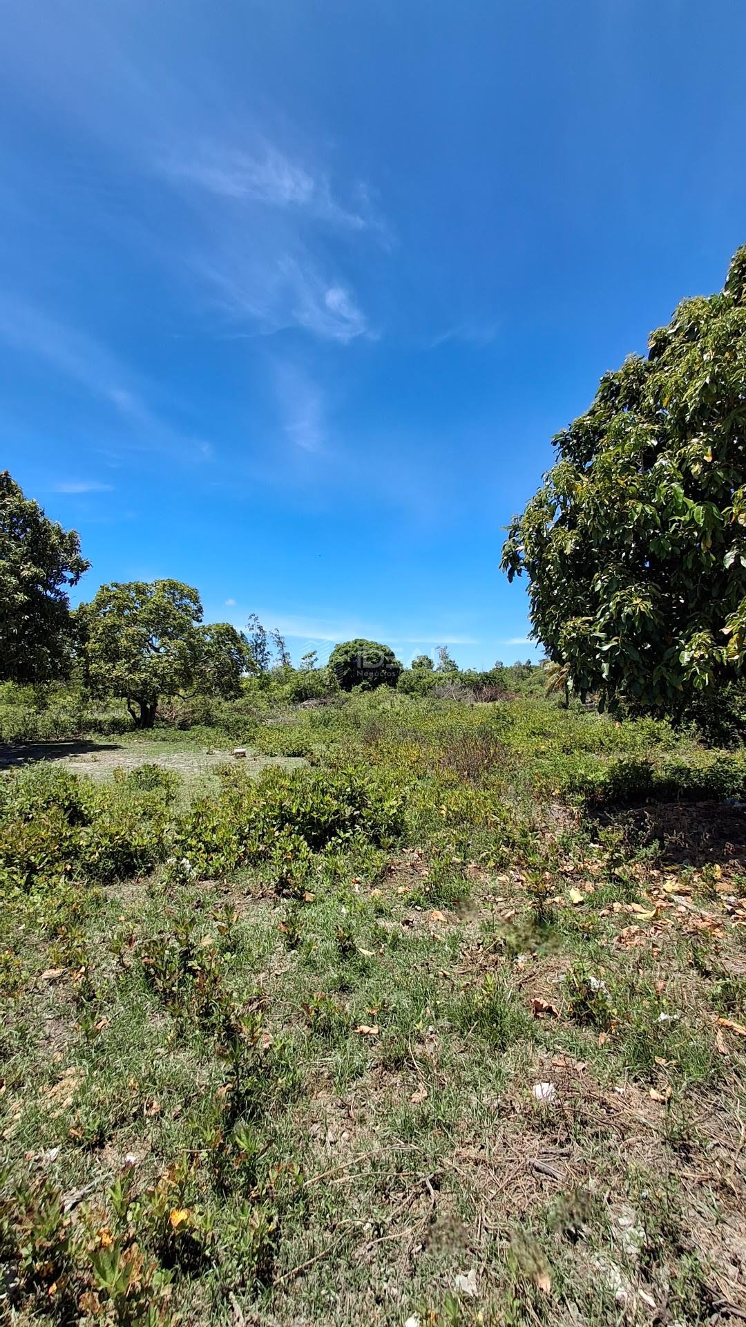 Rural à venda com 33000m² de terreno no Vila Manhães, Campos dos Goytacazes (RJ) — foto 8 de 10