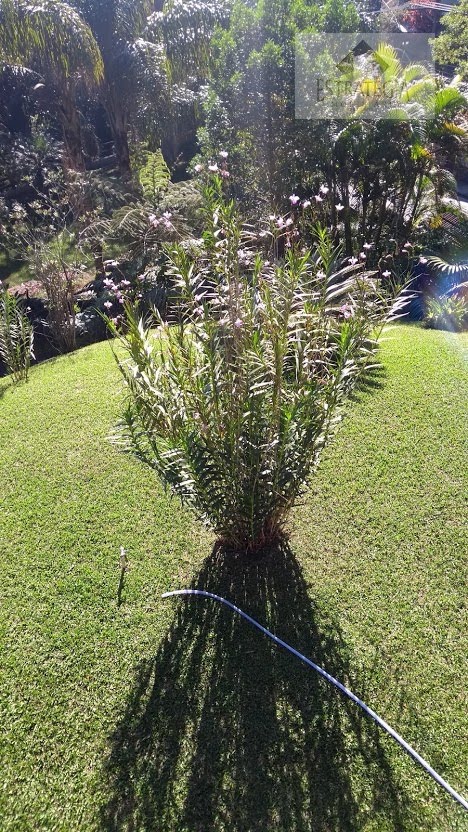 Casa à venda com 4 quartos, 2 suítes, 6 vagas e 320m² no Alto da Serra, Petrópolis (RJ) — foto 9 de 22