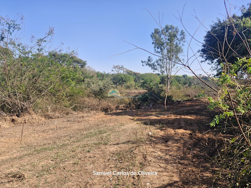 Terrenos à venda em Casa Branca SP