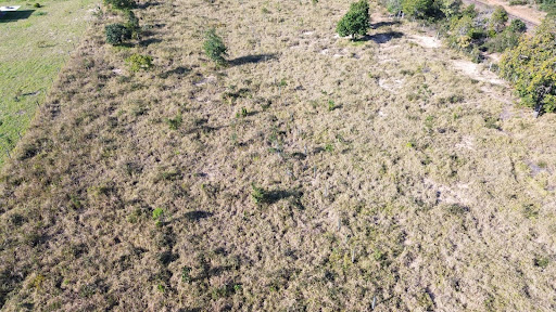 Fazenda em zona rural  -  Campo Grande