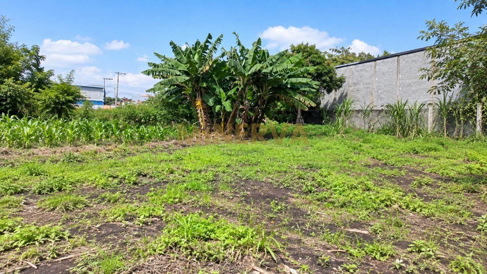 Terreno à venda com 6000m² de terreno no Jardim Presidente Dutra, Guarulhos (SP) — foto 3 de 7