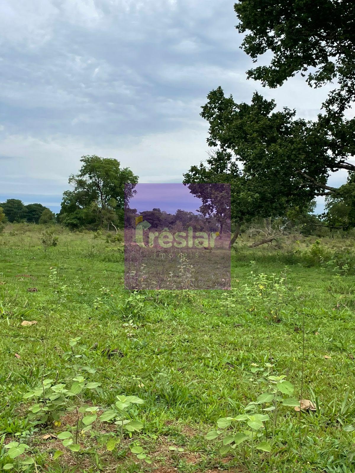 Rural à venda no Fazenda, Três Lagoas (MS) — foto 14 de 24