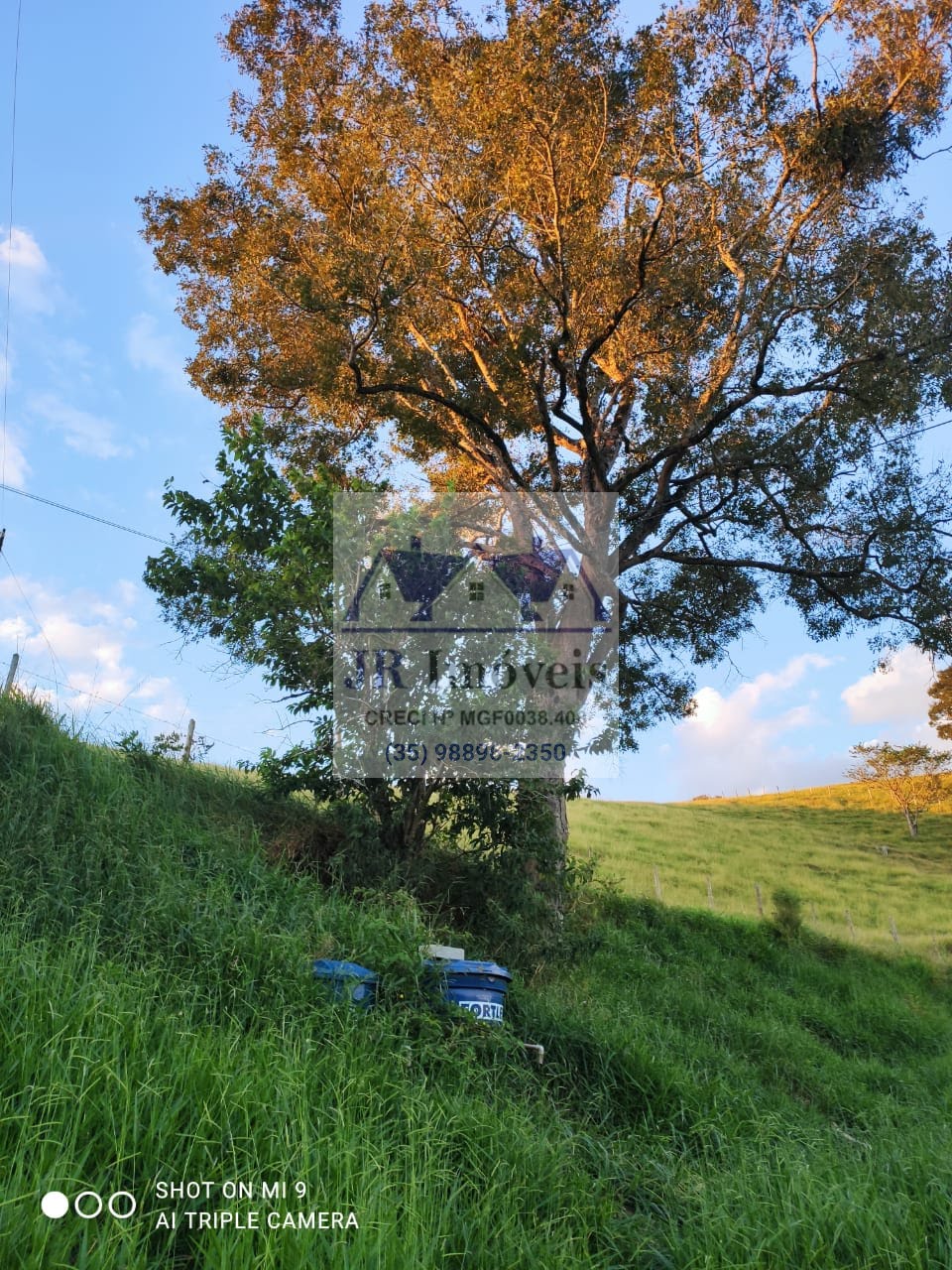 Terreno à venda com 3000m² de terreno no Mato Dentro de Baixo, Piranguinho (MG) — foto 4 de 18