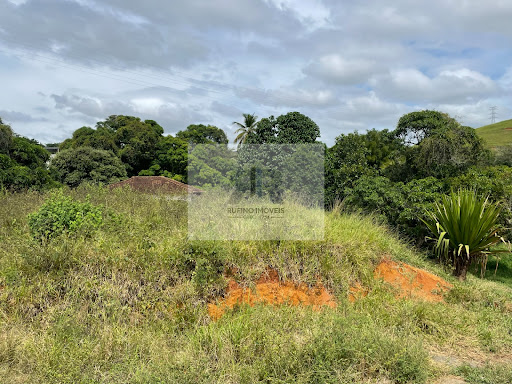 Lote / Terreno em Ibraim Mendoca  -  Cataguases