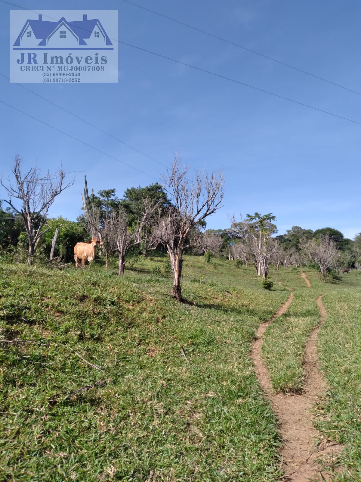 Rural à venda com 20000m² de terreno no Paulino Paixao, Pedralva (MG) — foto 15 de 28