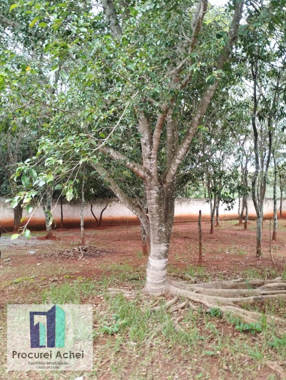 Rural à venda com 12000m² de terreno no Lagoa Formosa Go, Planaltina (GO) — foto 23 de 27