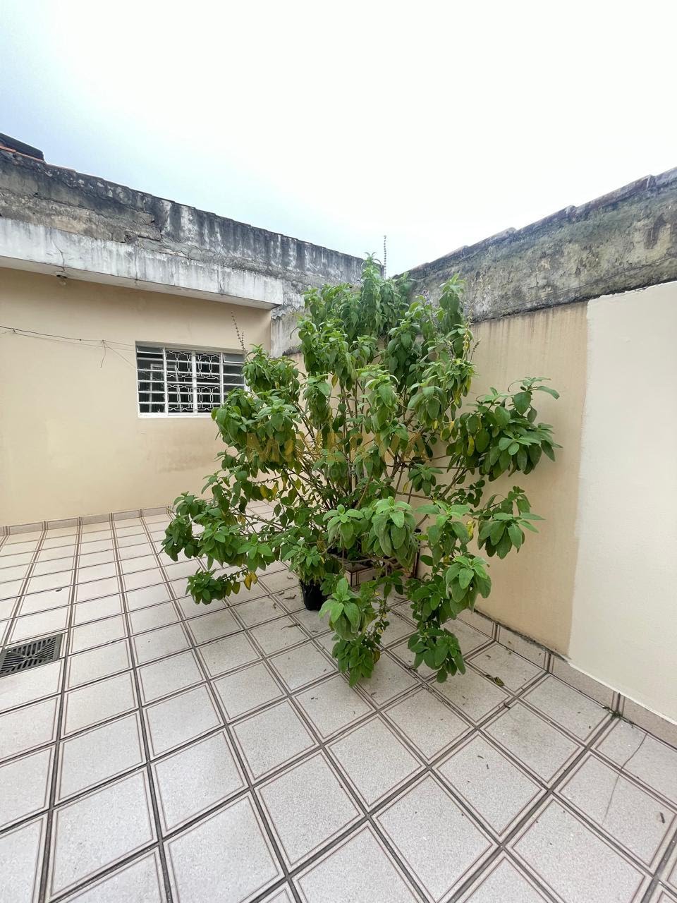 Casa à venda com 3 quartos, 2 banheiros, 1 vaga e 150m² no Jardim Adriana, Guarulhos (SP) — foto 17 de 30