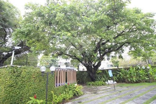 Casa à venda com 6 quartos, 4 suítes, 4 vagas e 235m² no Poço da Panela, Recife (PE) — foto 21 de 30