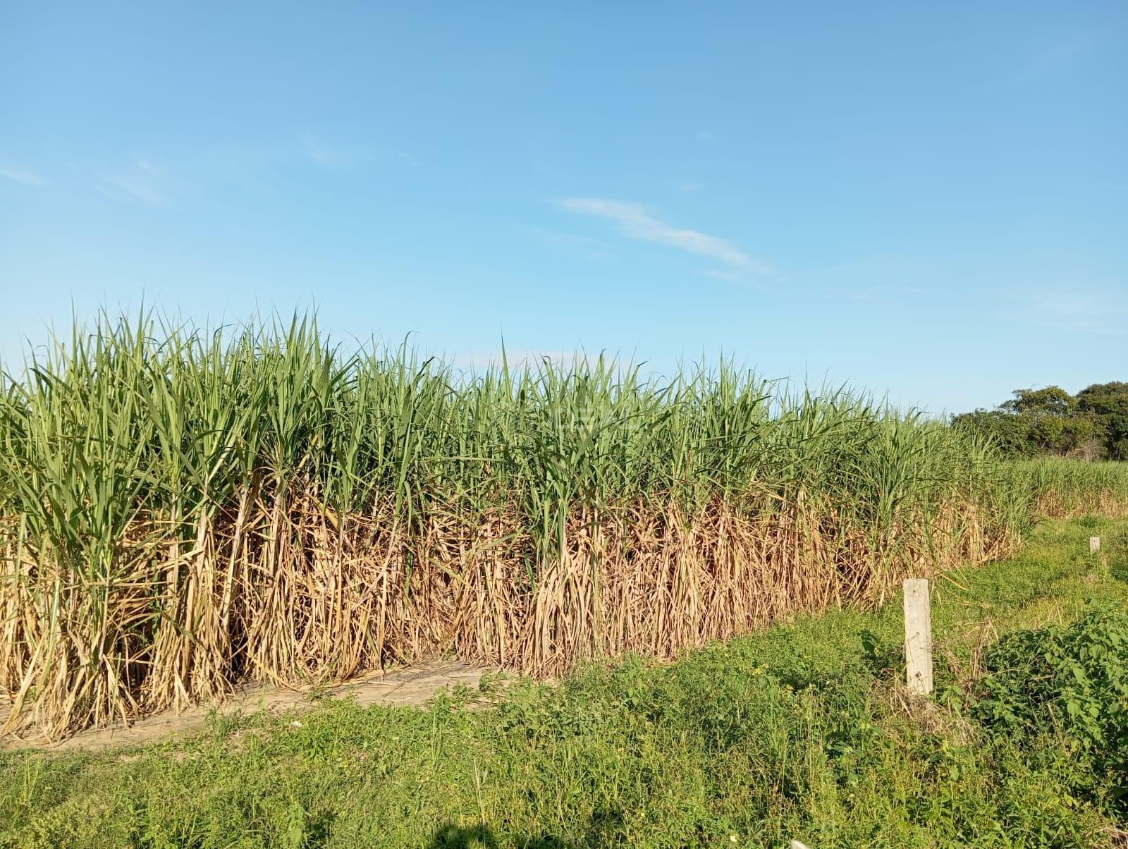 Rural à venda com 1280000m² de terreno no Valão Seco, São Francisco de Itabapoana (RJ) — foto 17 de 30