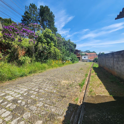 Terreno Residencial No Bairro do Lanificio - 681,1m²