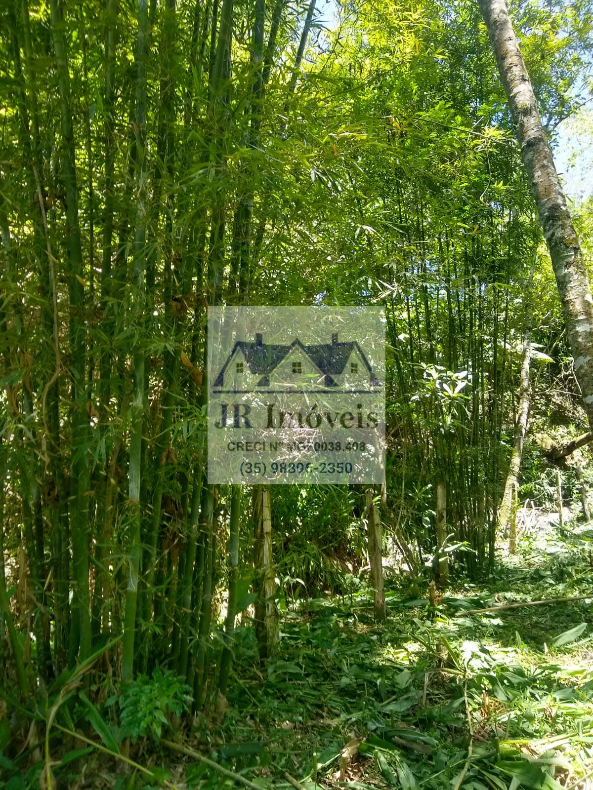 Terreno à venda com 3600m² de terreno no Taquaral, Delfim Moreira (MG) — foto 11 de 18