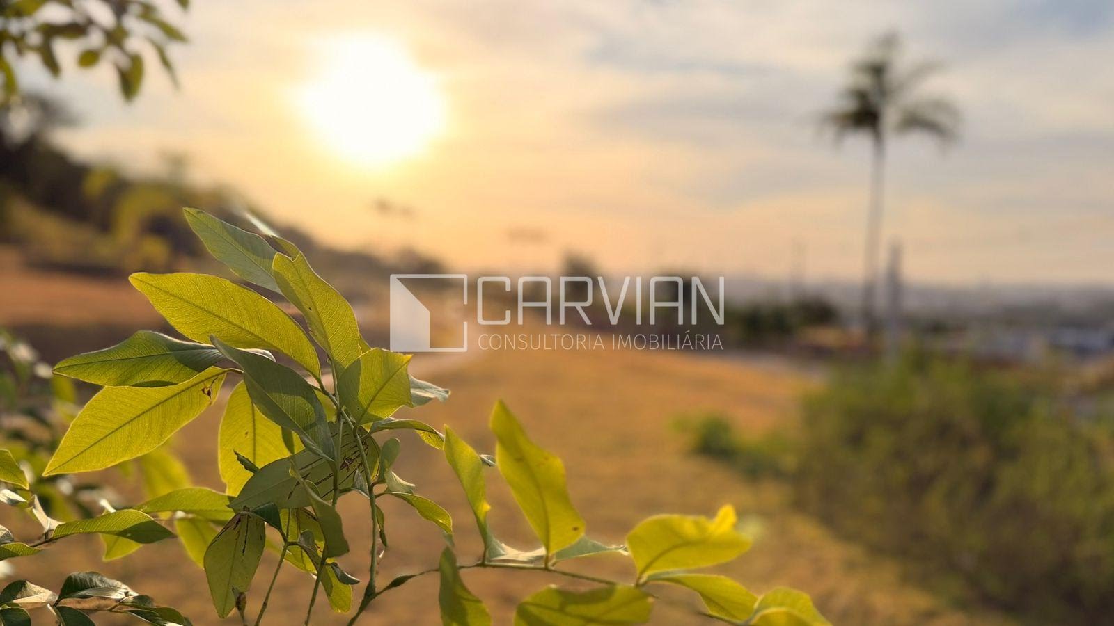 Terreno à venda com 256m² de terreno no Fazenda Santa Rita do Picadão, Ribeirão Preto (SP) — foto 26 de 30