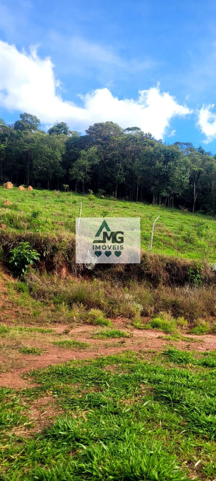 Rural à venda com 290000m² de terreno no Zona Rural São Tomé das Letras, São Thomé das Letras (MG) — foto 13 de 21