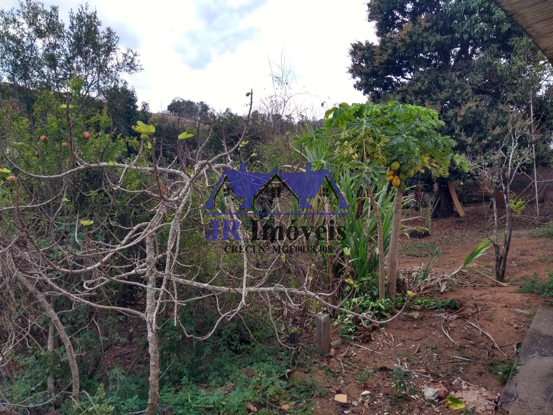 Rural à venda com 2500m² de terreno no Santa Barbara, Piranguinho (MG) — foto 11 de 28