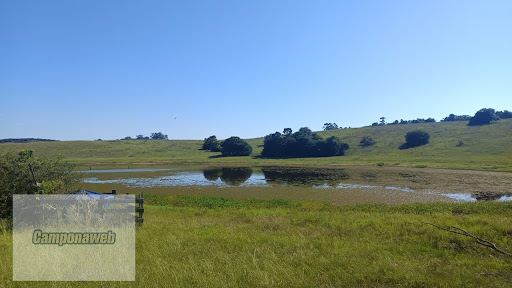Campo a Venda RS