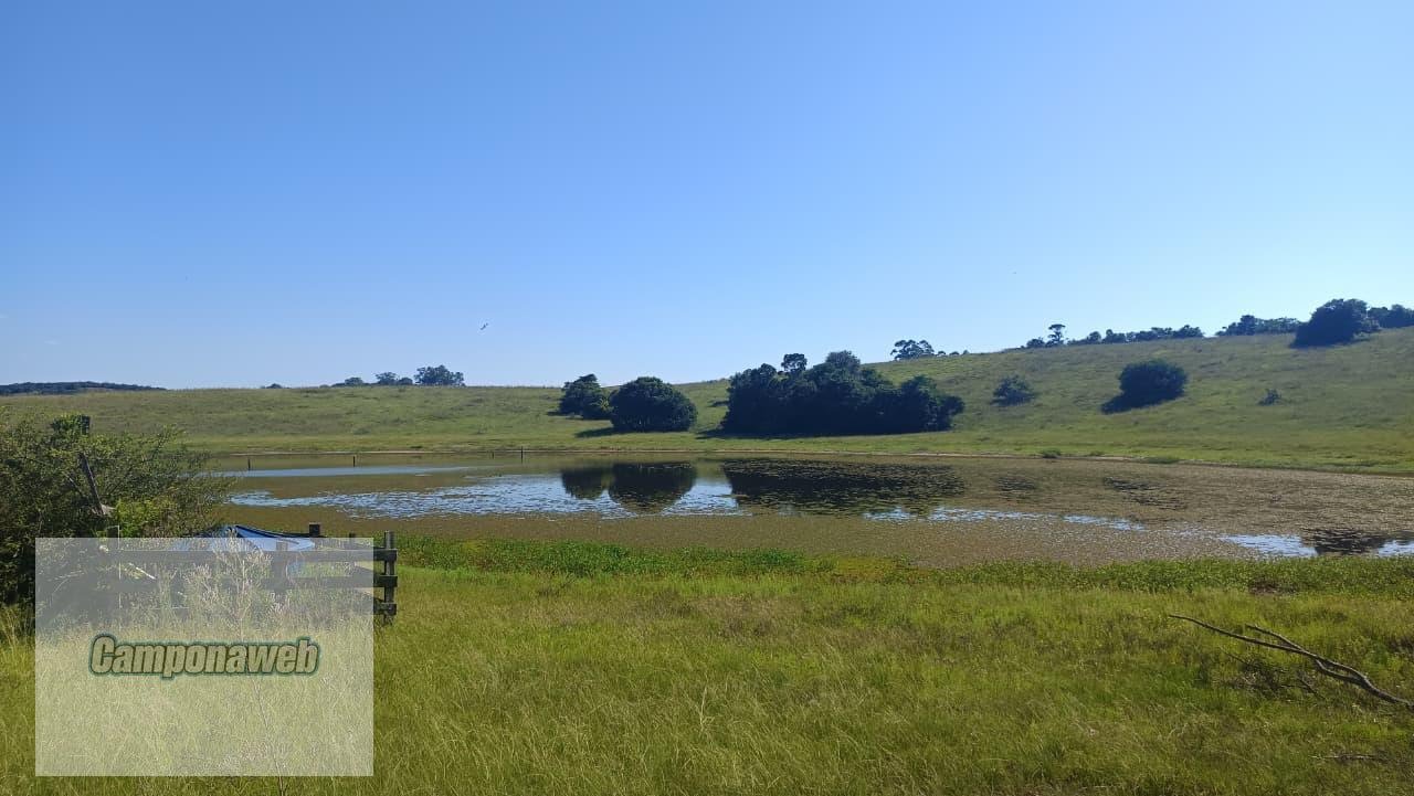 Campo a Venda RS