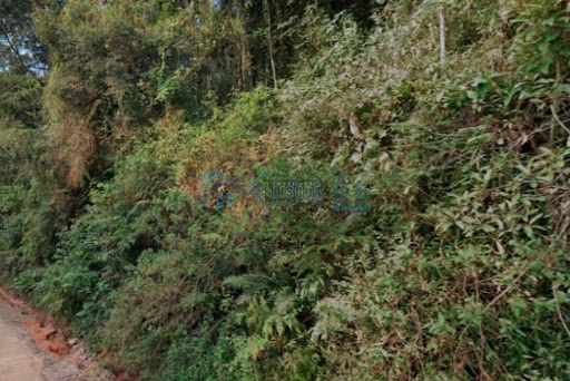 Área em Alto Forquilhas  -  São José