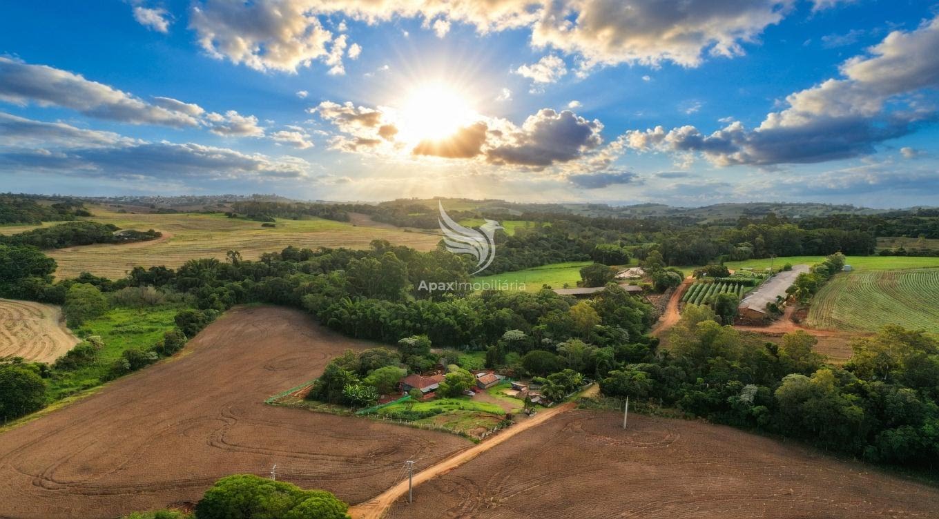 imagem sugestiva de inteligência artificial 