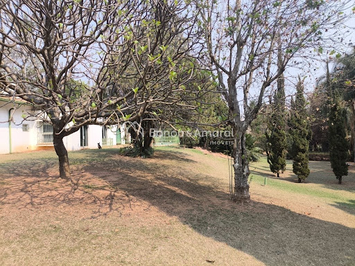 Casa, 3 quartos, 438 m² - Foto 7