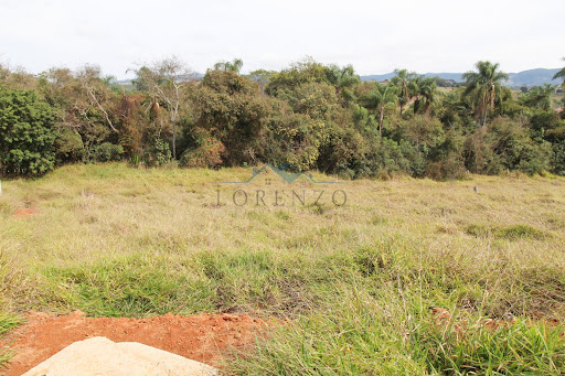 Lote