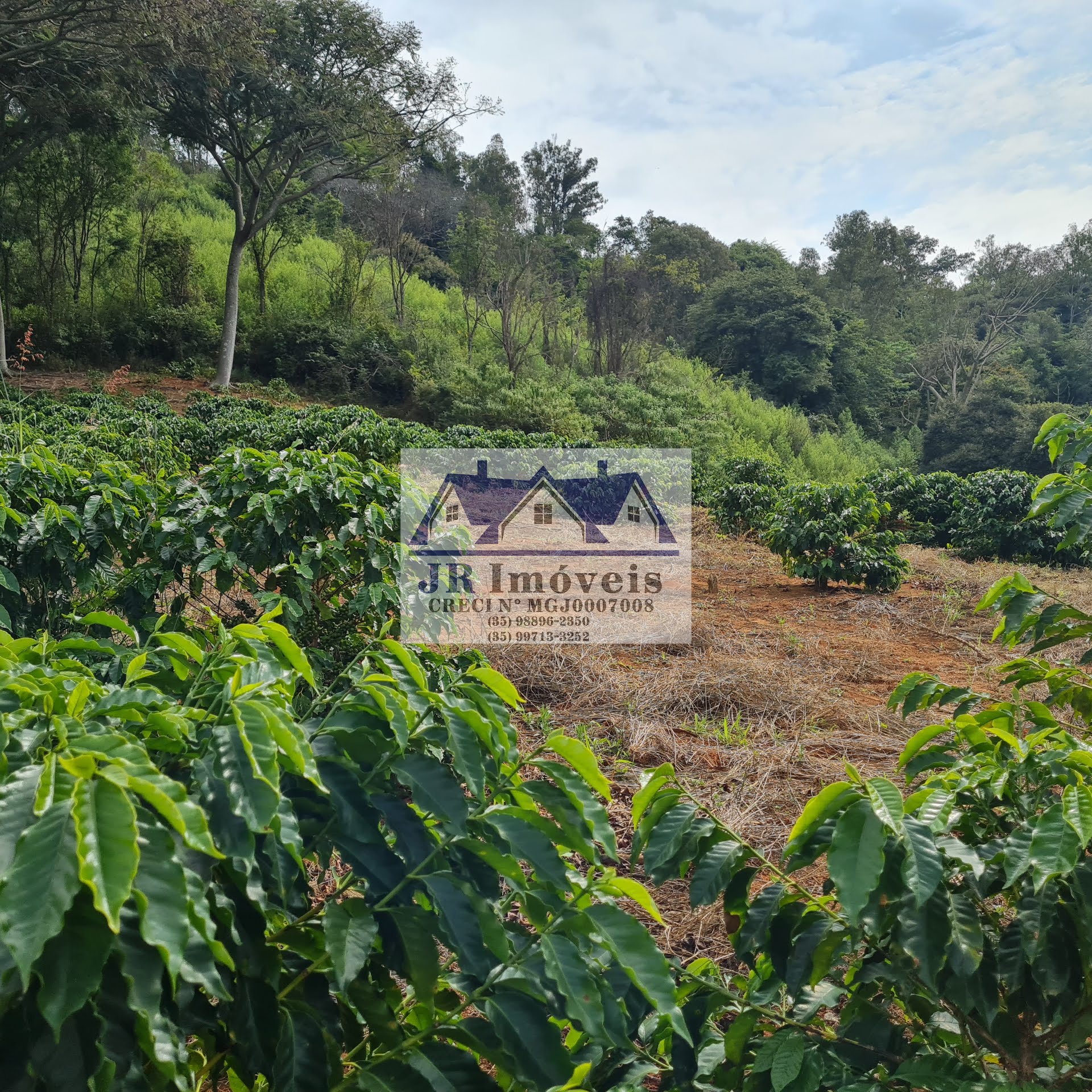 Terreno à venda com 21237m² de terreno no Pinheirinho, Itajubá (MG) — foto 23 de 30