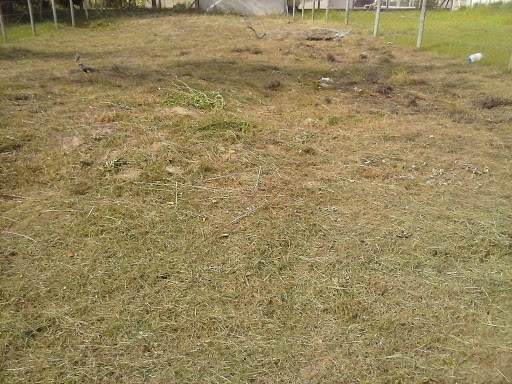 Terreno em Praia Paraiso  -  Torres