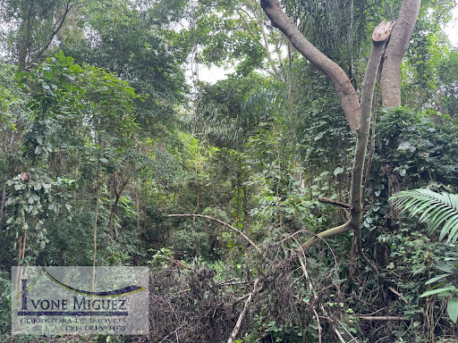 Terreno em Vale Das Videiras  -  Paty do Alferes