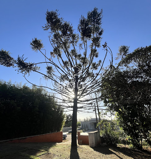 Paisagem