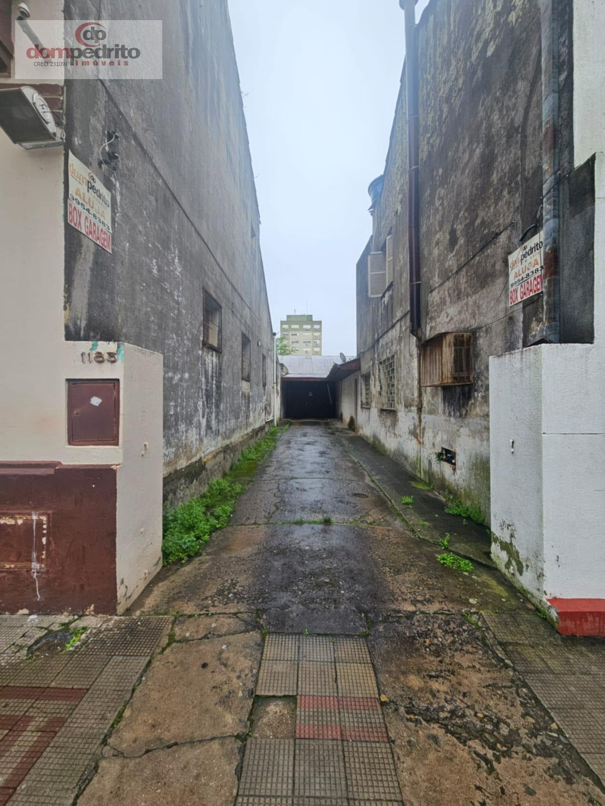 Entrada