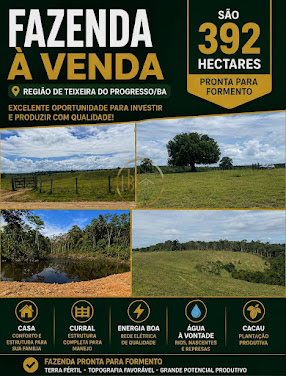 Fazenda à venda em Centro, Porto Seguro | R$ 12 mi