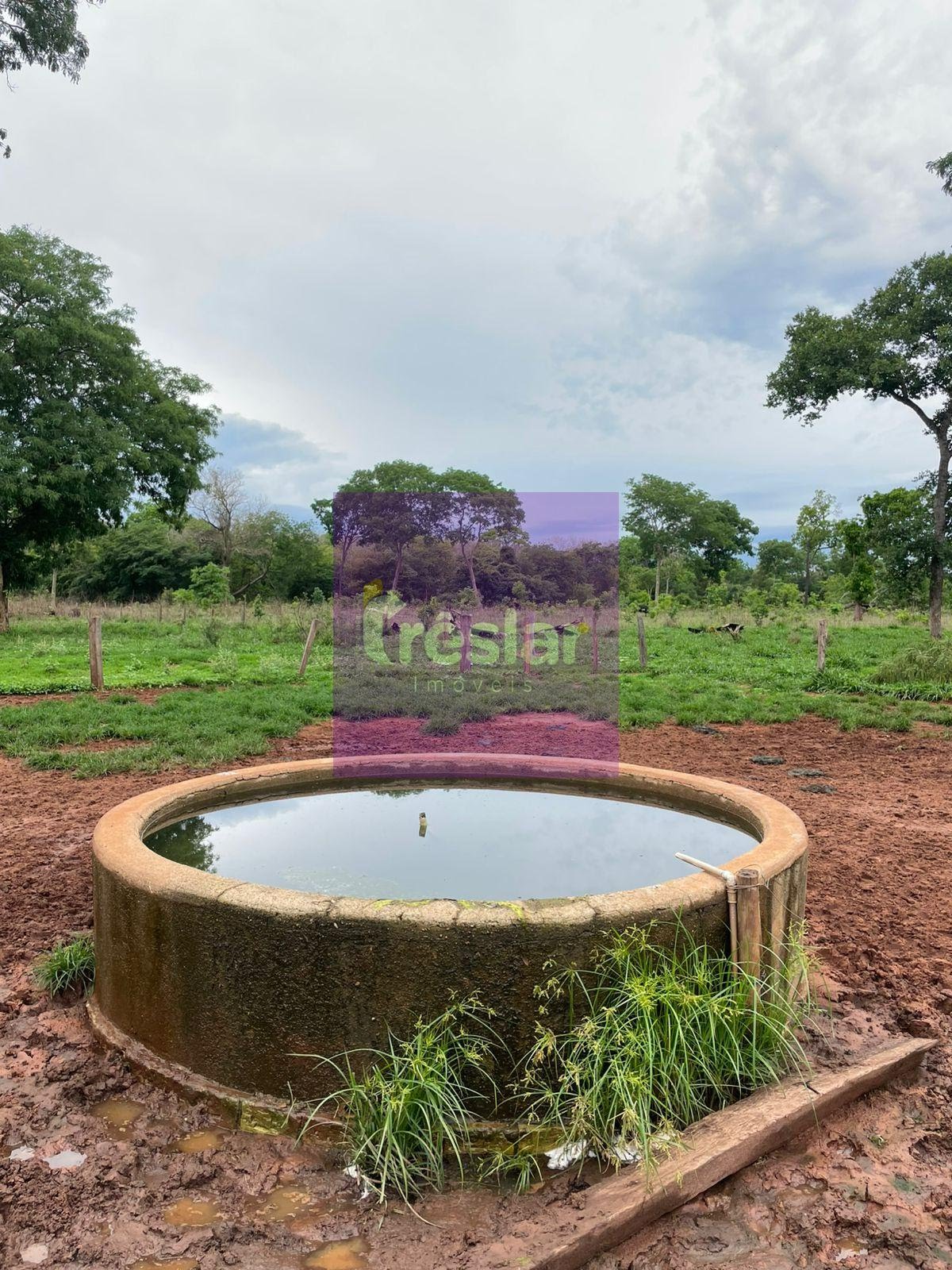Rural à venda no Fazenda, Três Lagoas (MS) — foto 11 de 24