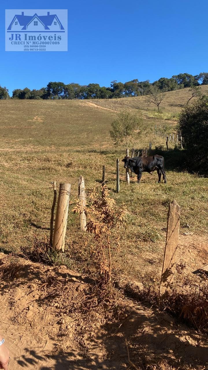 Terreno à venda com 24200m² de terreno no Campinho, Piranguinho (MG) — foto 4 de 7