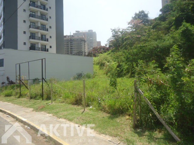Foto 03