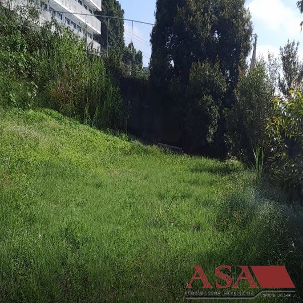 Foto 02