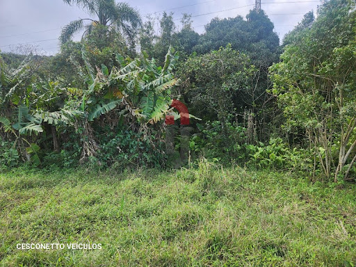 Terreno em Laranjeiras  -  Osório