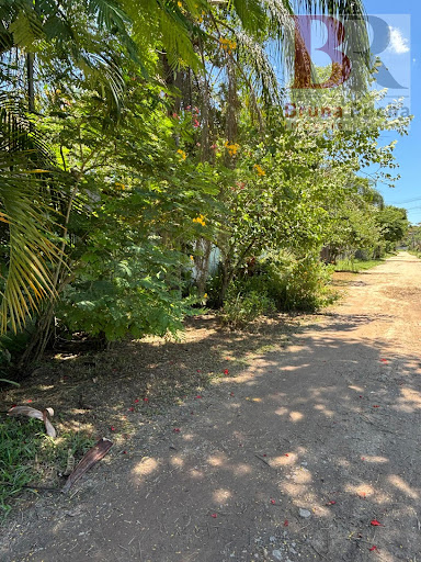 Sítio em Vale das Pedrinhas  -  Guapimirim