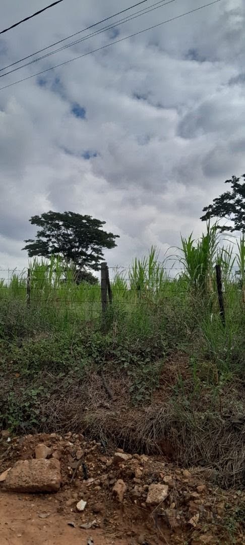 Comercial à venda com 17000m² no Estância Jockey Clube, São José do Rio Preto (SP) — foto 2 de 5